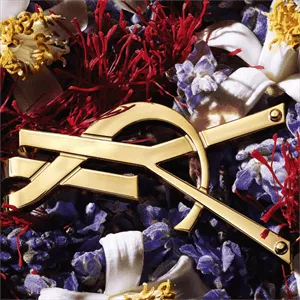 YSL Libre Le Parfum Eau De Parfum 50ml